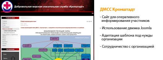 ДМСС
